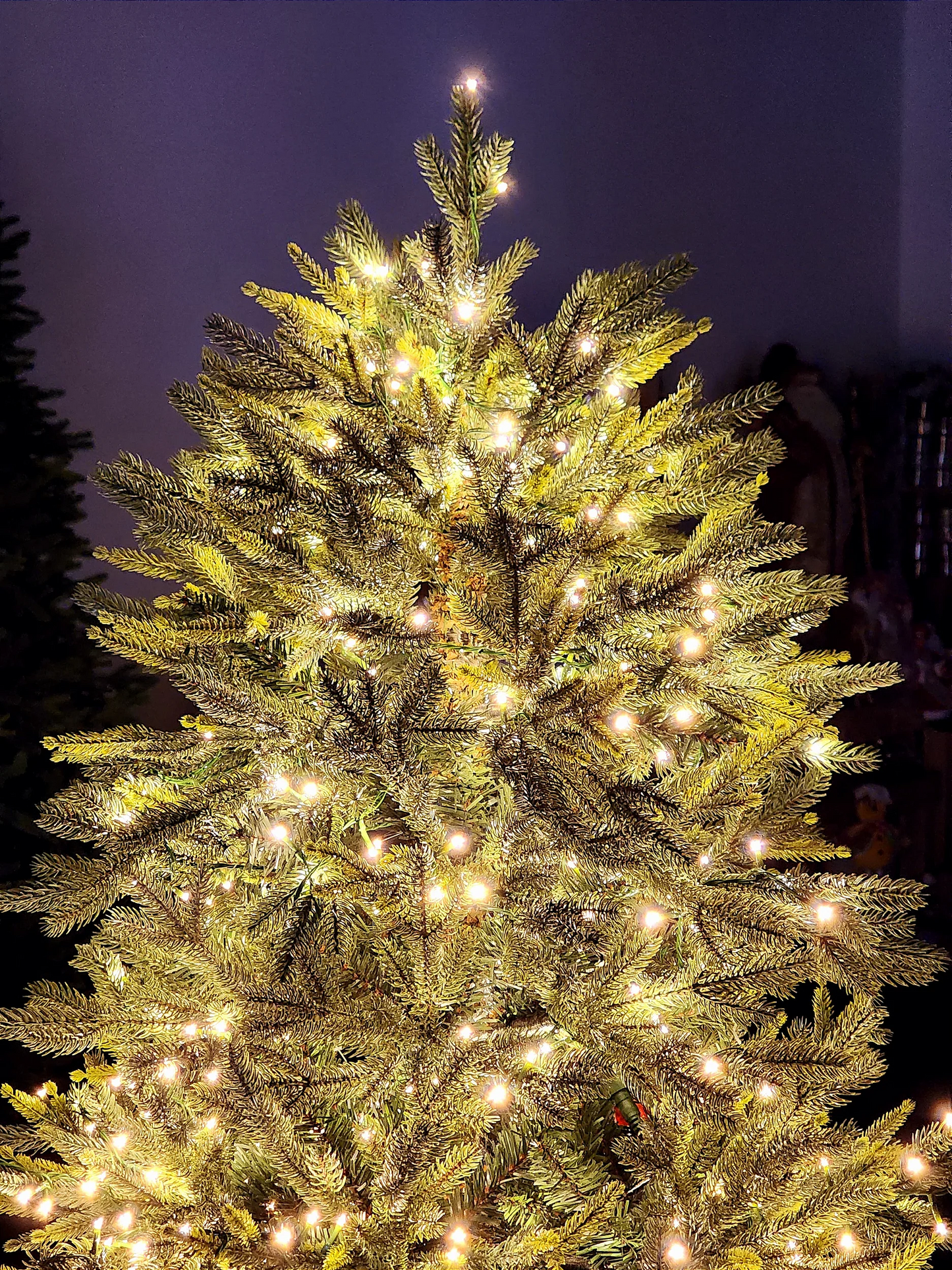 ÁRVORE PINHEIRO SUPER LUXO COM 1900 LEDS 2,10CM COM 5436 GALHOS