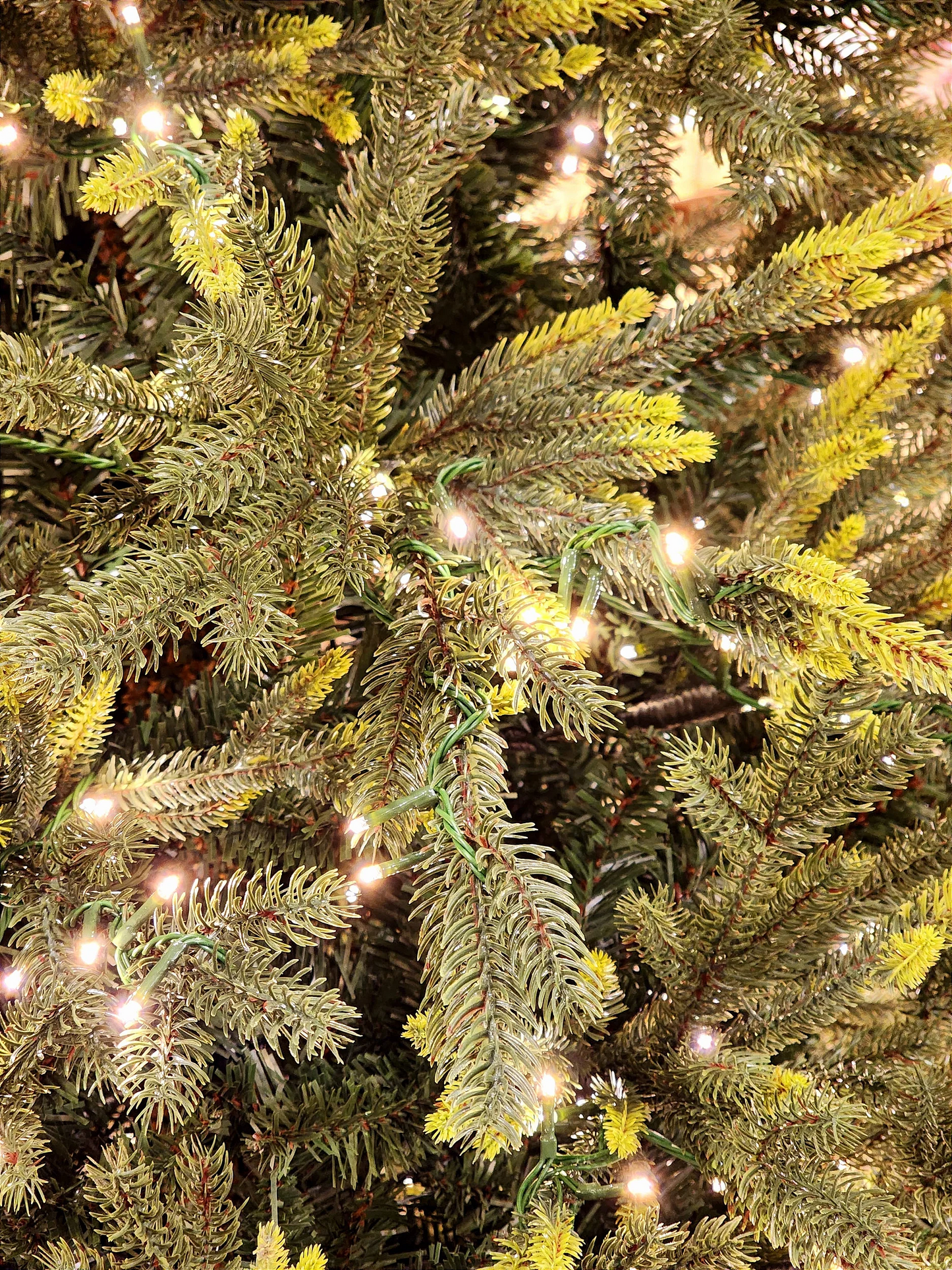 ÁRVORE PINHEIRO SUPER LUXO COM 1900 LEDS 2,10CM COM 5436 GALHOS