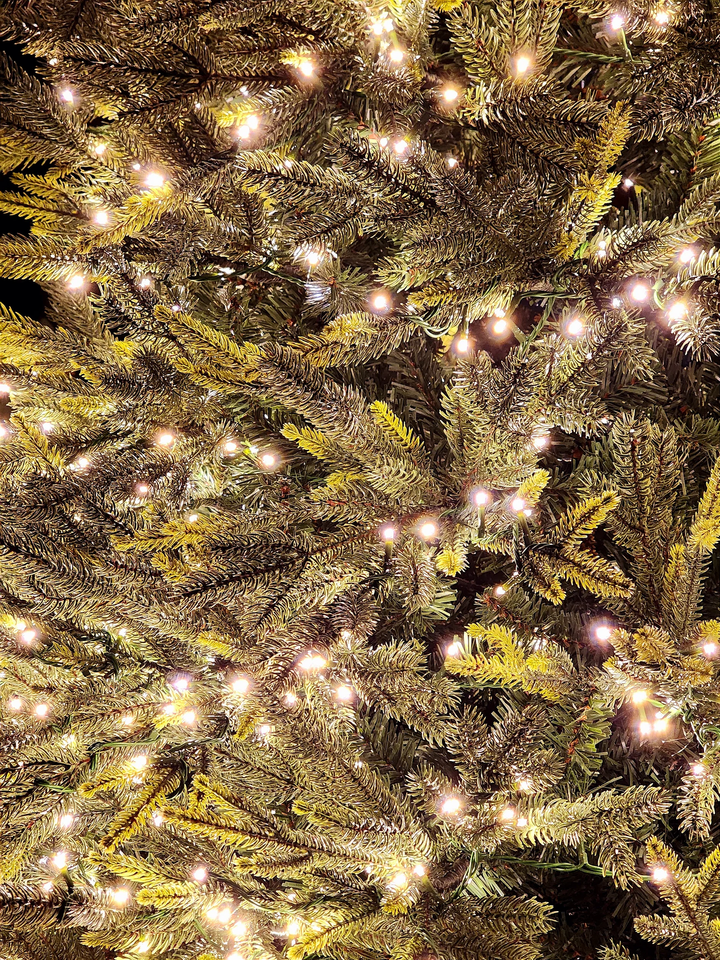 ÁRVORE PINHEIRO SUPER LUXO COM 1900 LEDS 2,10CM COM 5436 GALHOS